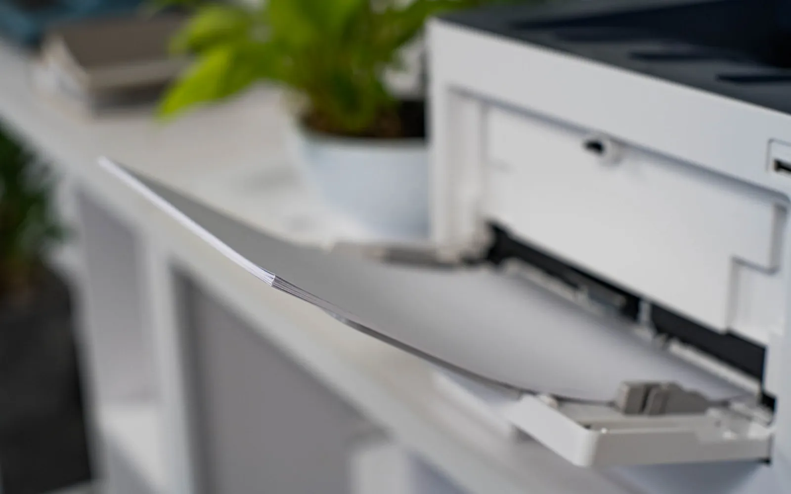 Sheets of paper feeding into a printer